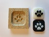 Vermiculite Mould - Hanging Paw in a Square